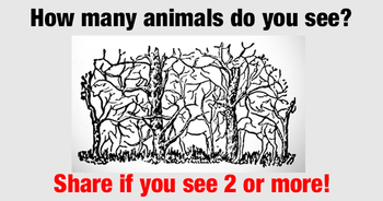 how-many-animals-do-you-see